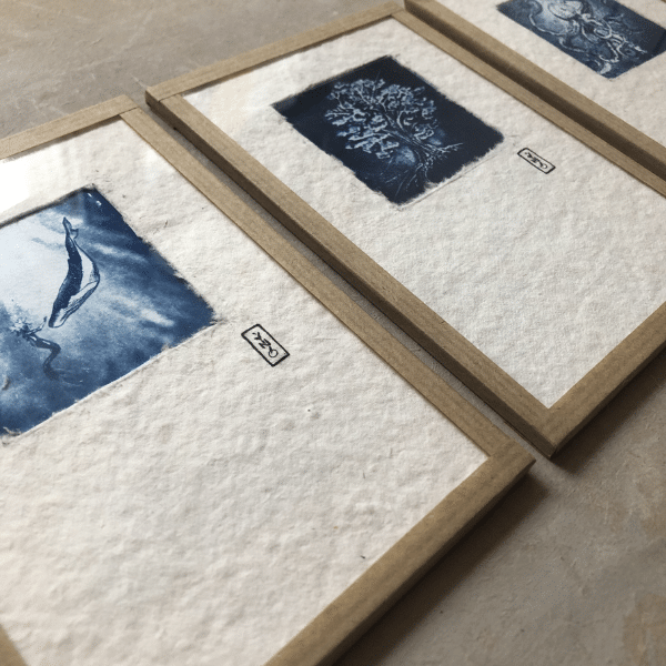 « Arbre » Cyanotype 10x15cm