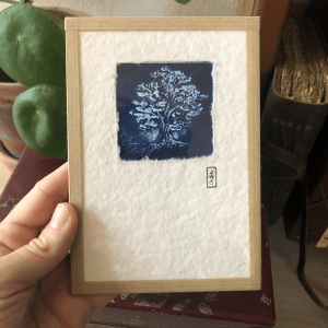 « Arbre » Cyanotype 10x15cm